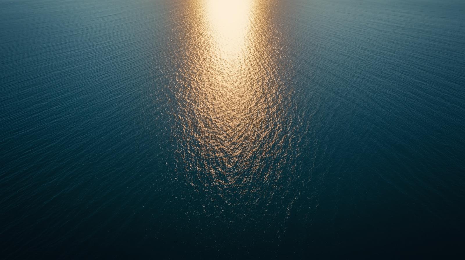 alquiler barco vigo visitar cíes