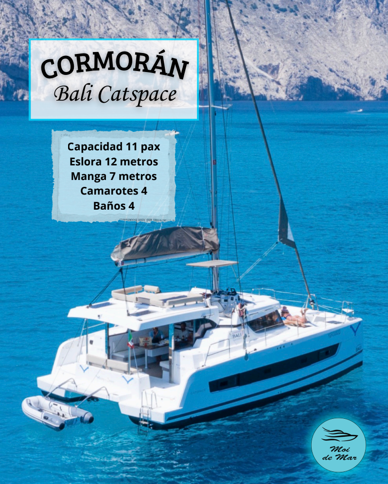 características catamaranes